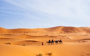 Tourists riding camels across the dunes of Merzouga, Morocco, a popular Sahara destination.