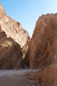morocco, canyon, dades, africa, travels, tourism, nature, sightseeing, desert, north african, sand, the colors, holiday, marocco, mountains