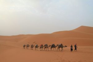 a group of people with a camel in the desert