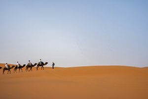 A group of people riding camels across a desert
